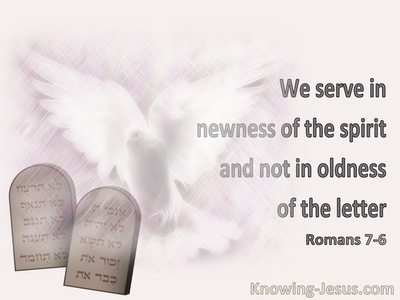 Romans 7:6 We Serve In Newness Of The Spirit And Not In Oldness Of The Letter (pink)